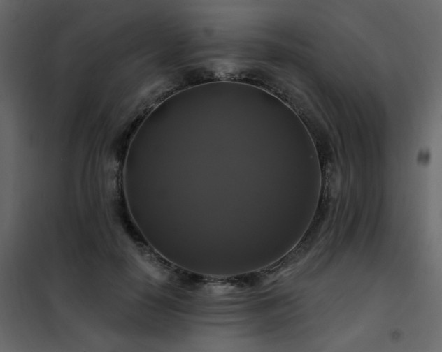 X0000102490650200808081330