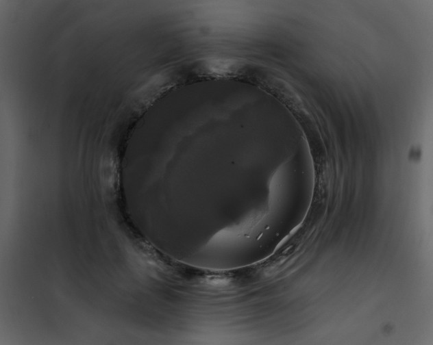 X0000102490651200808081330