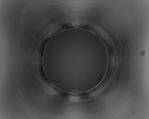 X0000102490653200808081330