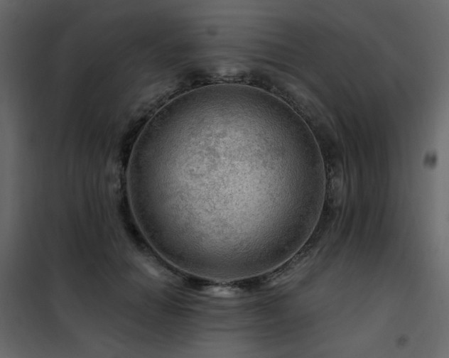 X0000102490654200808081330