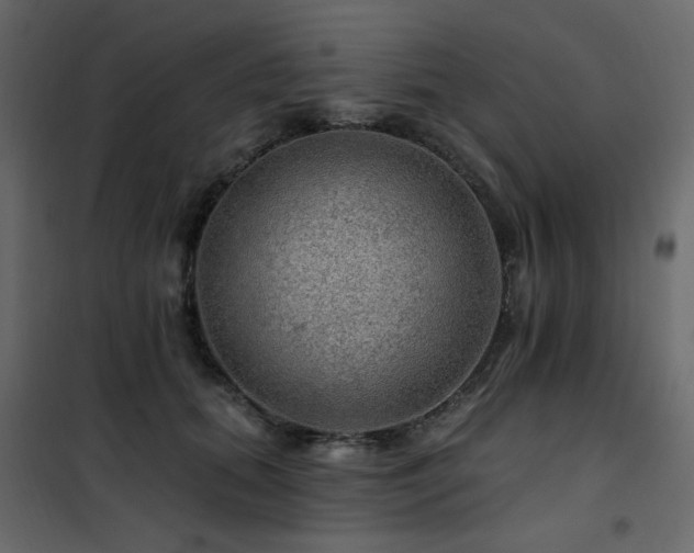 X0000102490655200808081330