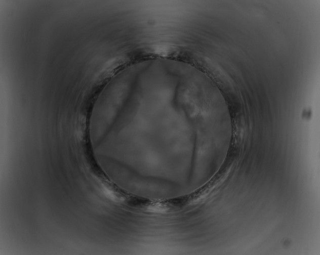 X0000102490656200808081330