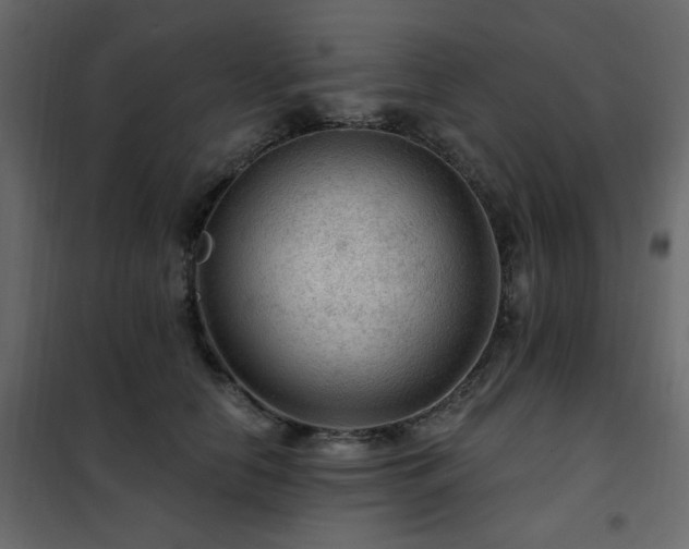 X0000102490658200808081330