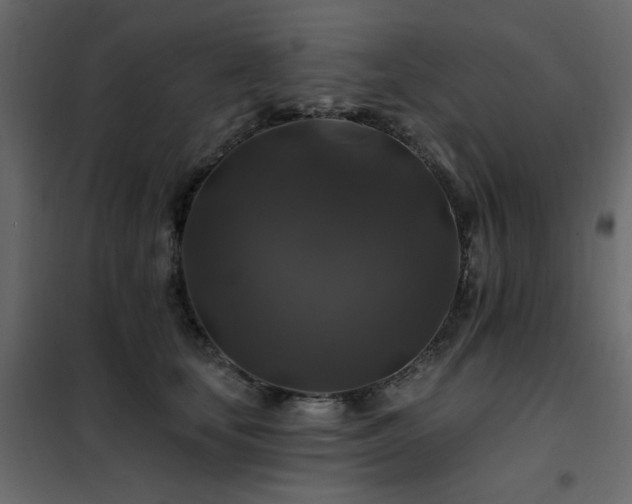 X0000102490659200808081330