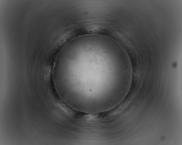 X0000102490660200808081330