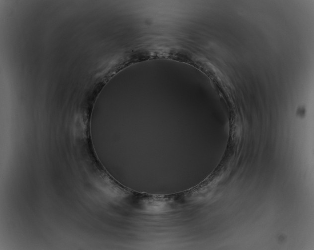 X0000102490661200808081330