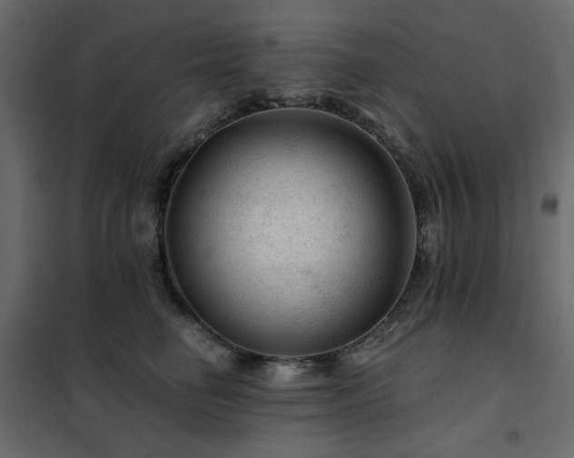 X0000102490662200808081330