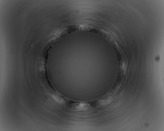 X0000102490663200808081330