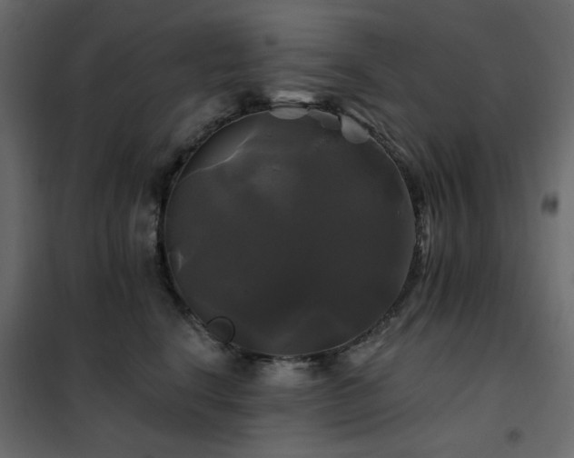 X0000102490664200808081330