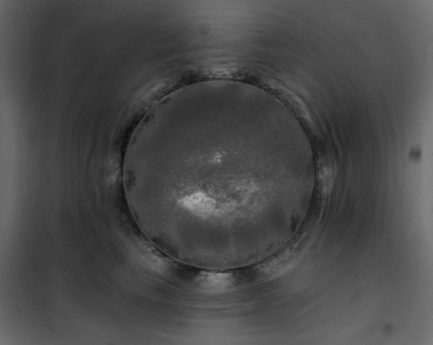 X0000102490665200808081330