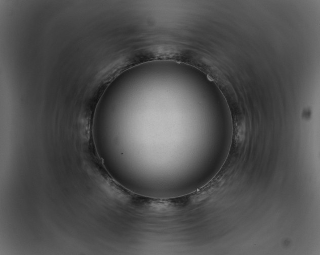 X0000102490666200808081330