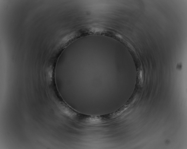 X0000102490668200808081330