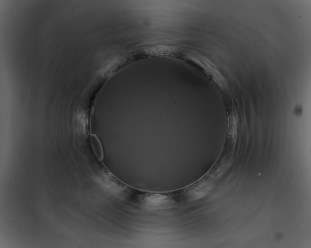 X0000102490669200808081330