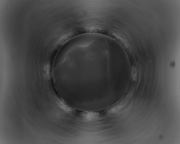 X0000102490670200808081330