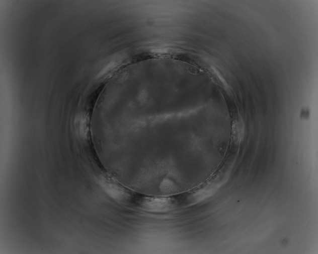 X0000102490671200808081330