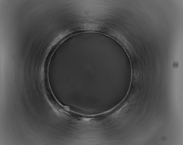 X0000102490674200808081329