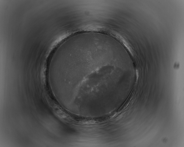 X0000102490675200808081329
