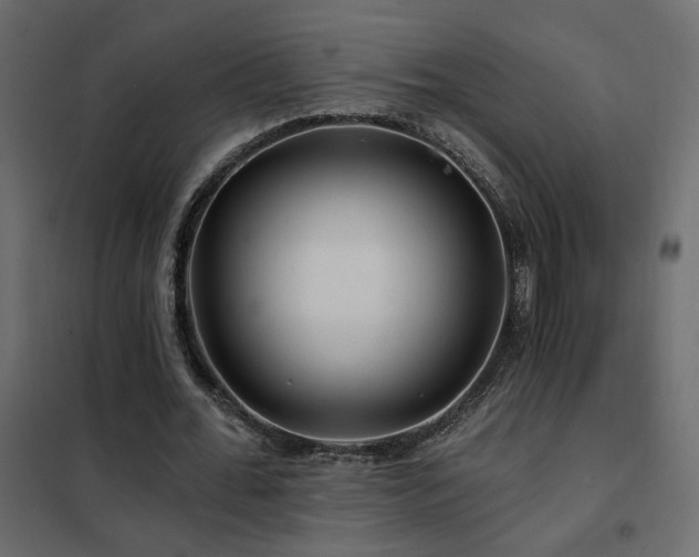X0000102490676200808081329