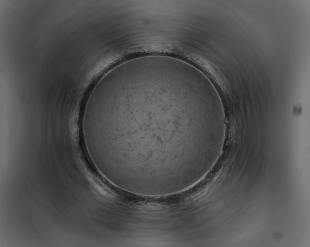 X0000102490677200808081329