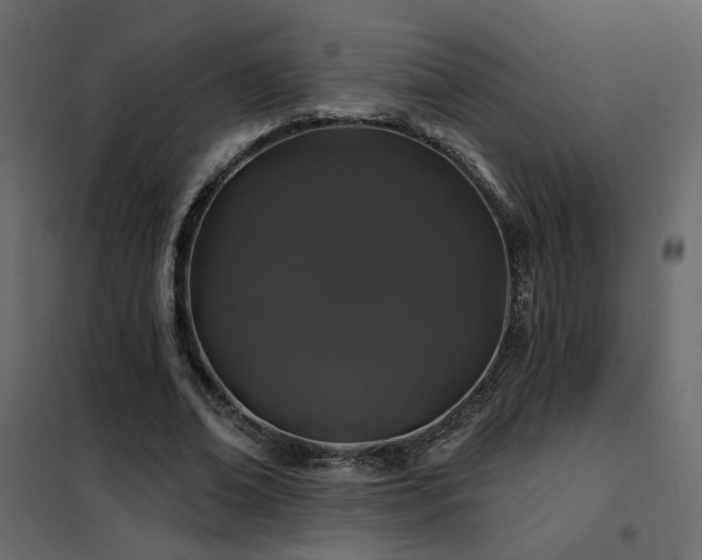 X0000102490678200808081329