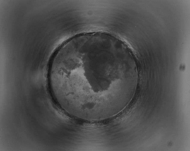 X0000102490679200808081329