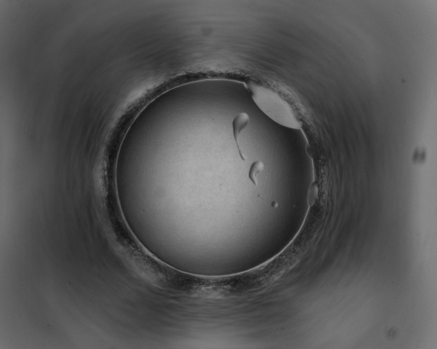 X0000102490680200808081329