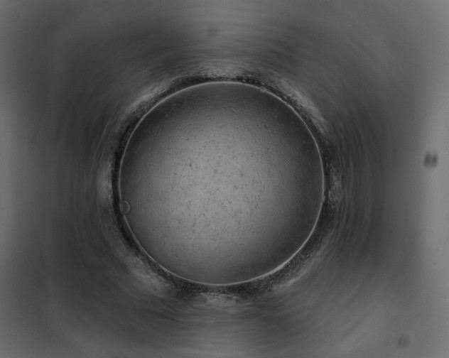X0000102490681200808081329