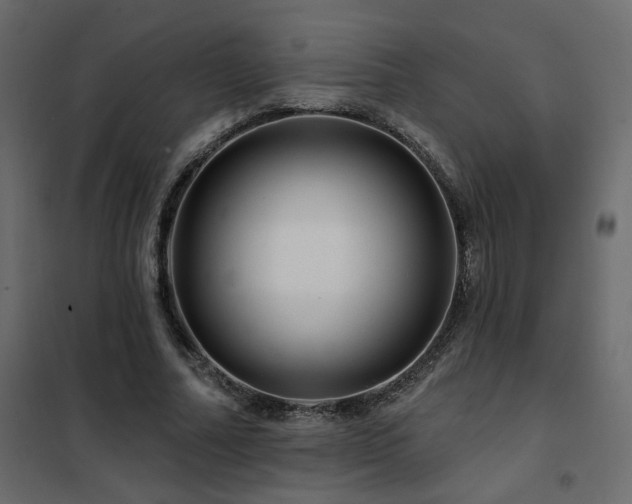 X0000102490682200808081329