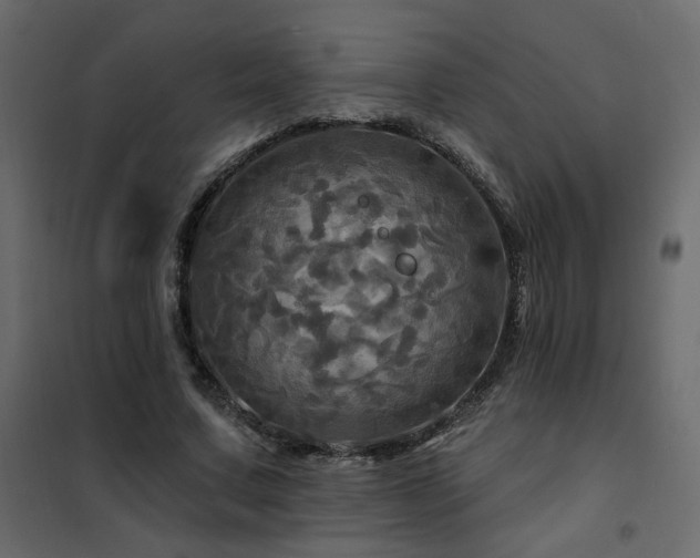 X0000102490683200808081329