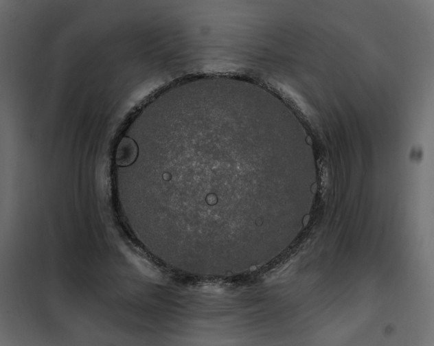 X0000102490684200808081329