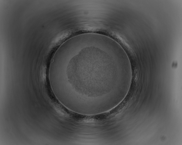 X0000102490685200808081329