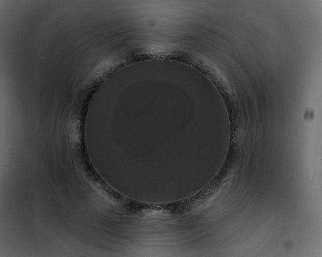 X0000102490689200808081329