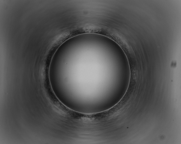 X0000102490690200808081329