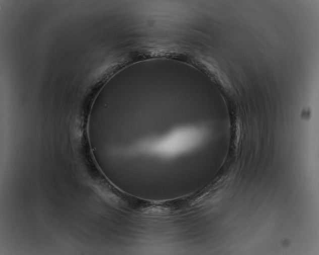 X0000102490691200808081329