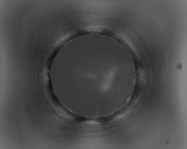 X0000102490692200808081329
