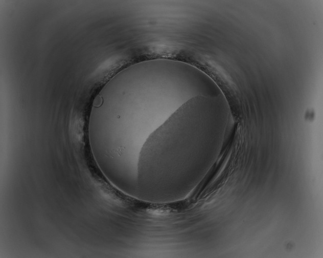 X0000102490693200808081329