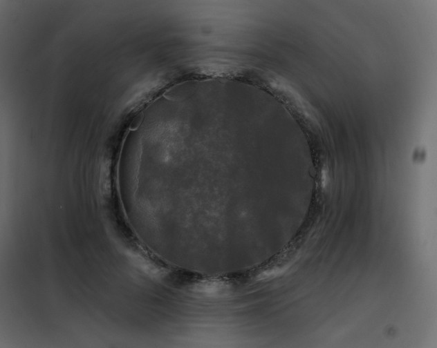 X0000102490696200808081329