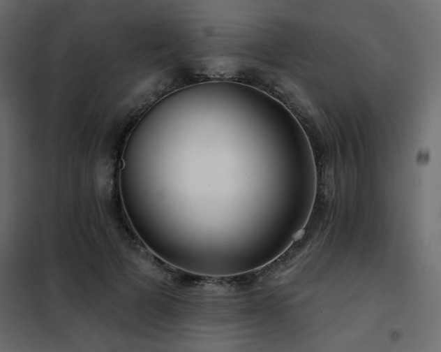 X0000102490697200808081329