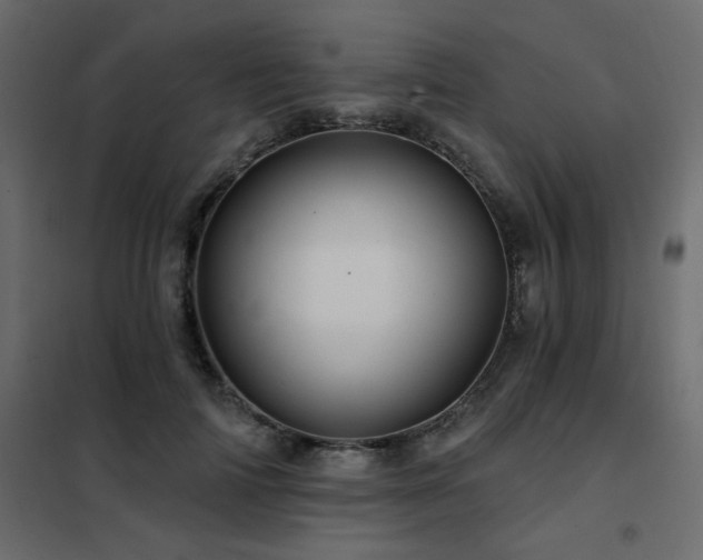 X0000102490698200808081329