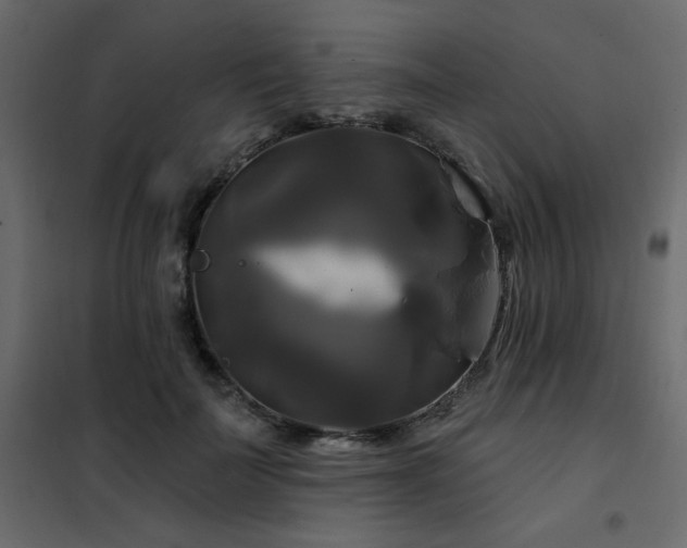 X0000102490699200808081329