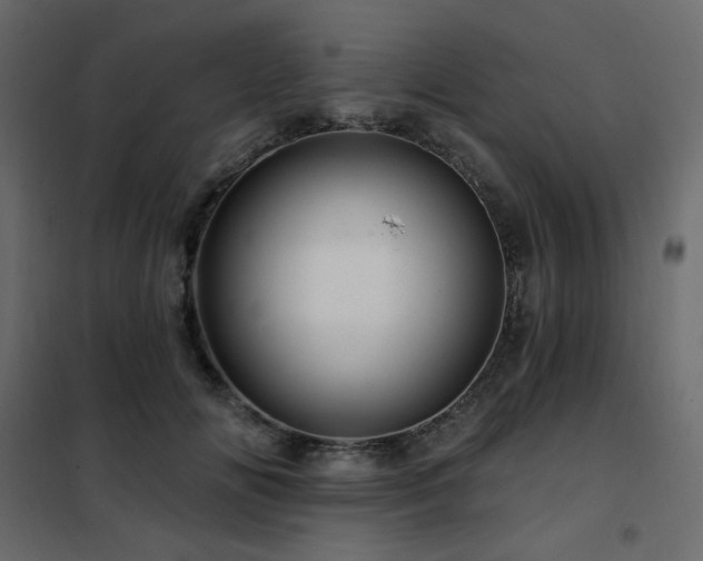 X0000102490702200808081329