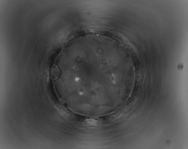 X0000102490703200808081329