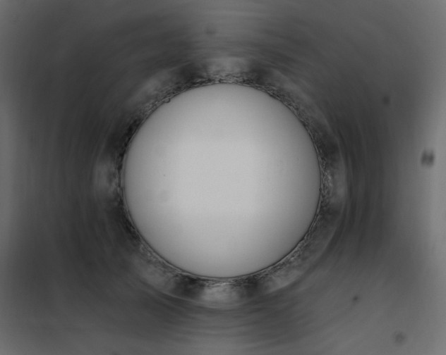 X0000102490705200808081329