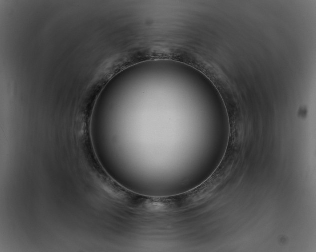 X0000102490706200808081329
