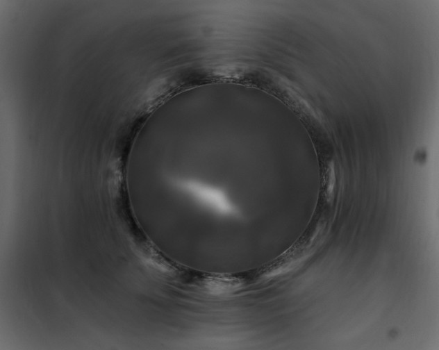 X0000102490707200808081329