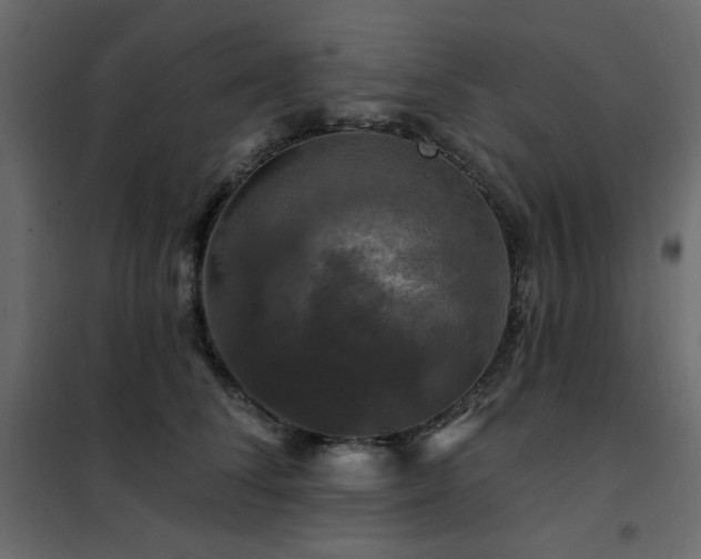 X0000102490708200808081329