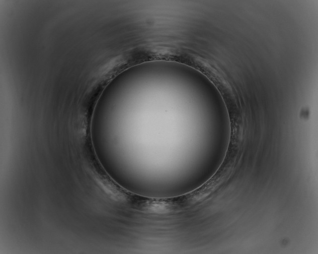 X0000102490710200808081329