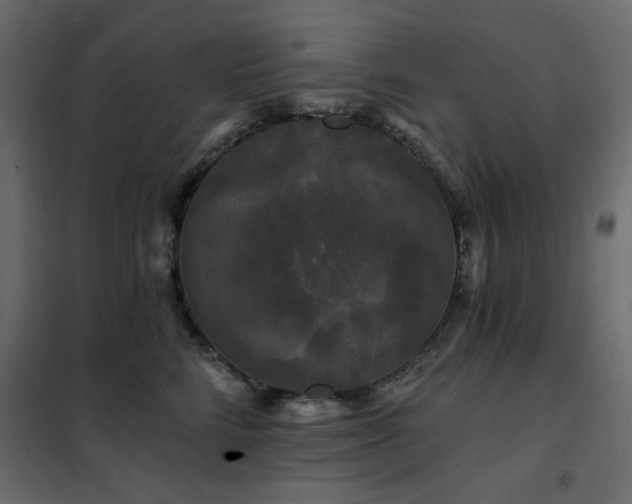 X0000102490712200808081329