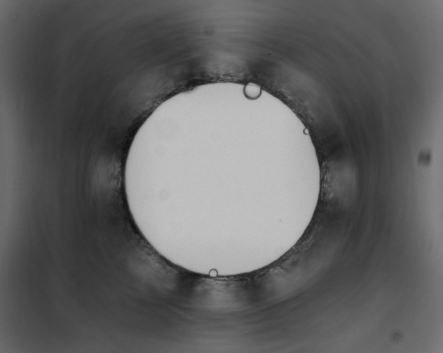 X0000102490713200808081329