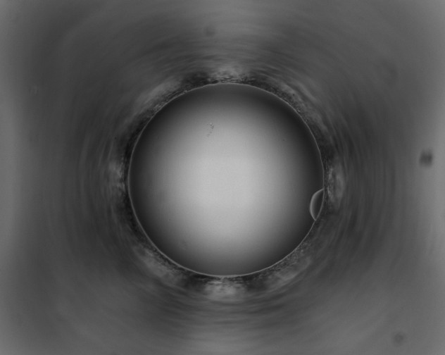 X0000102490714200808081329